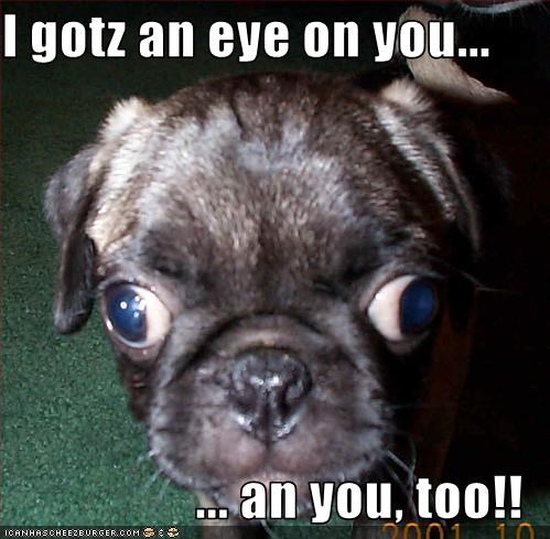 I gotz an eye on you...  ... an you, too!!