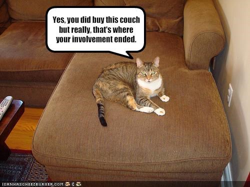 Yes, you did buy this couch but really, that's where your involvement ended.