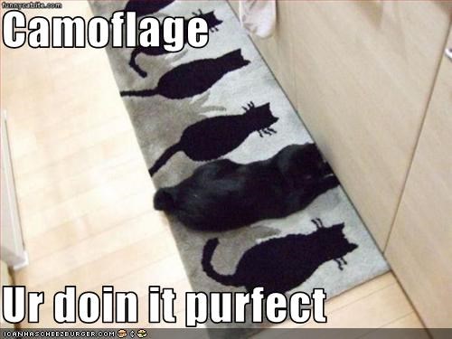 Camoflage  Ur doin it purfect