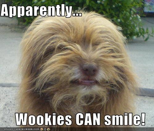 Apparently...  Wookies CAN smile!
