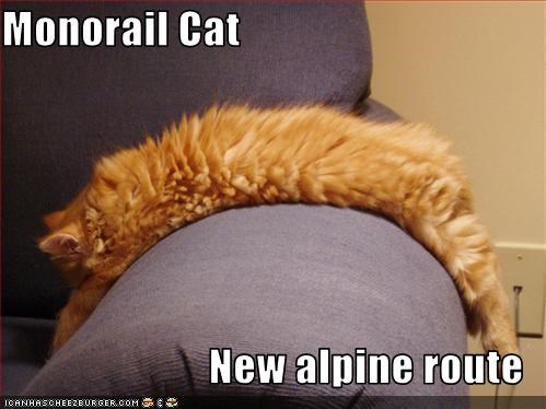 Monorail Cat  New alpine route