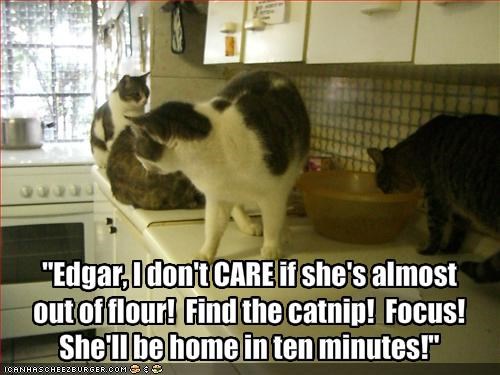 "Edgar, I don't CARE if she's almost out of flour!  Find the catnip!  Focus!  She'll be home in ten minutes!"