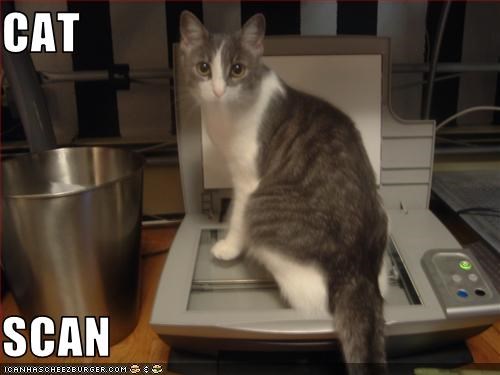 CAT  SCAN