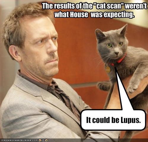 It could be Lupus.