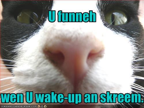 U funnehwen U wake-up an skreem. 