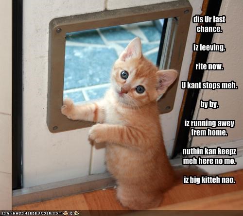 dis Ur last chance.iz leeving.rite now.U kant stops meh.by by.iz running awey frem home.nuthin kan keepz meh here no mo.iz big kitteh nao.