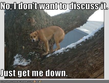 No, I don't want to discuss it.  Just get me down.