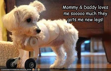 Mommy & Daddy loves me sooooo much they gots me new legs! 