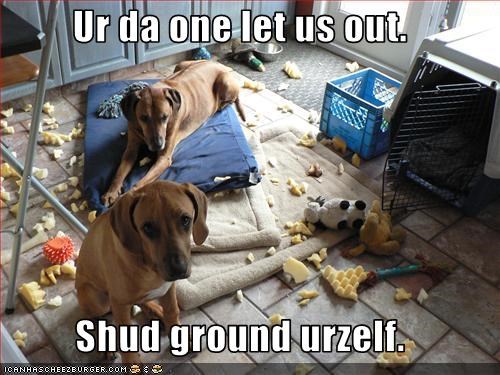 Ur da one let us out.  Shud ground urzelf.