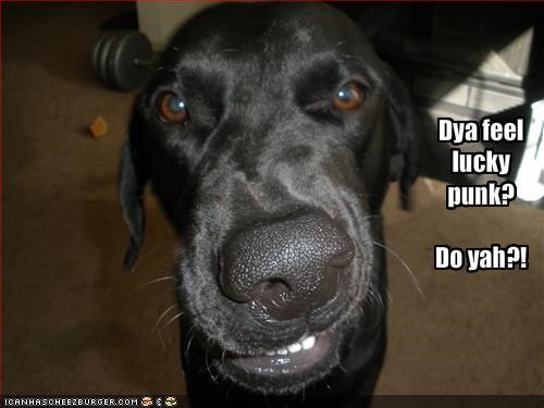 Dya feel lucky punk? Do yah?!