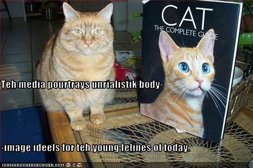 Teh media pourtrays unrialistik body- -image ideels for teh young felines of today.