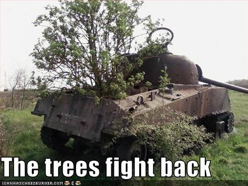 The trees fight back