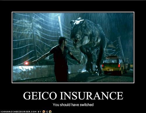 GEICO INSURANCE