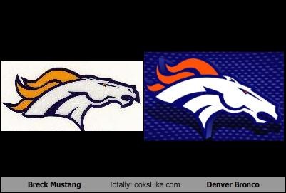 Breck Mustang Totally Looks Like Denver Bronco