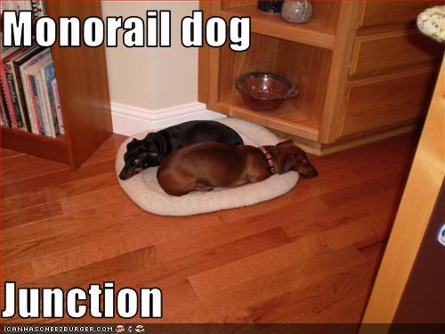 Monorail dog  Junction