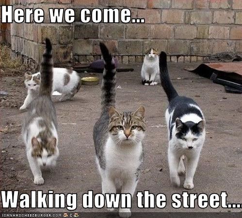 Here we come...  Walking down the street......