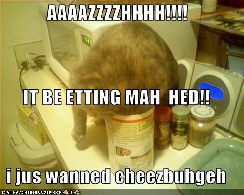 AAAAZZZZHHHH!!!! IT BE ETTING MAH  HED!! i jus wanned cheezbuhgeh