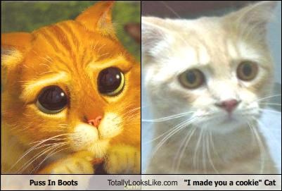 Puss In Boots Totally Looks Like "I made you a cookie" Cat
