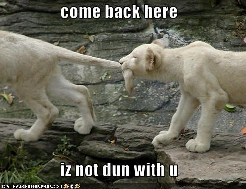 come back here  iz not dun with u