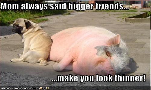 Mom always said bigger friends...  ...make you look thinner!
