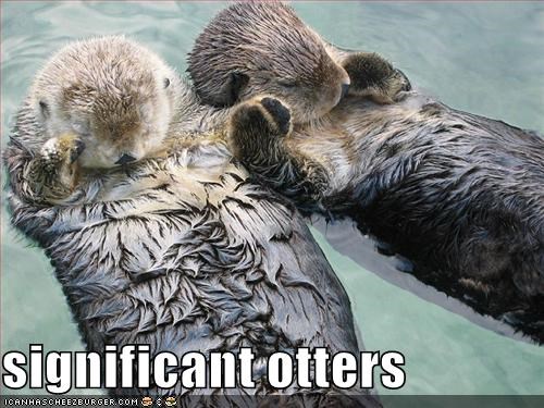 significant otters