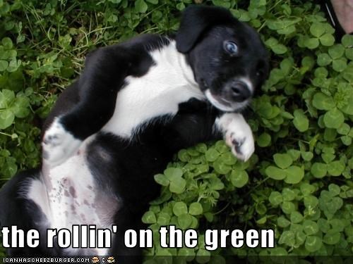 the rollin' on the green