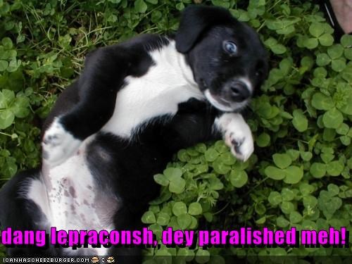 dang lepraconsh, dey paralished meh!