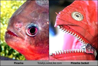 Piranha Totally Looks Like Piranha Jacket
