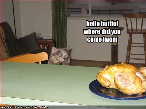 hello buitful where did you come fwom
