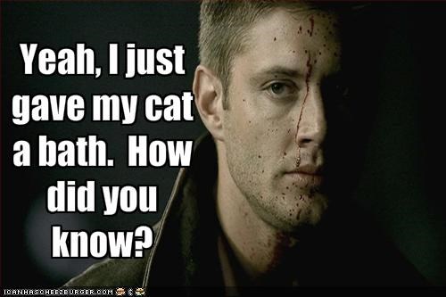Yeah, I just gave my cat a bath.  How did you know?