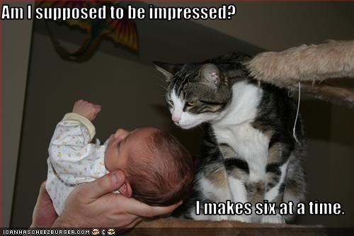 Am I supposed to be impressed?  I makes six at a time.