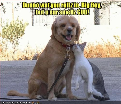 Dunno wat you rolLz in, Big Boy, 