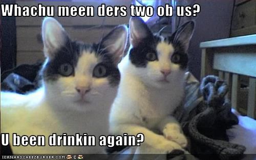 Whachu meen ders two ob us?  U been drinkin again?