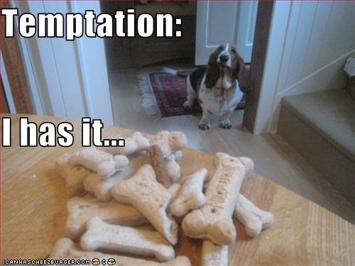 Temptation: I has it...