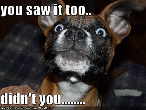 you saw it too..  didn't you........