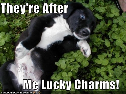 They're After  Me Lucky Charms!