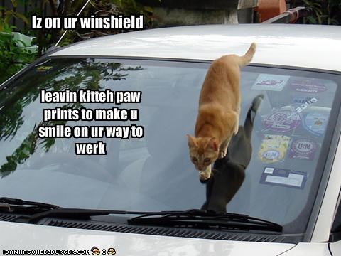 Iz on ur winshield