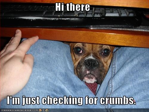 Hi there  I'm just checking for crumbs.