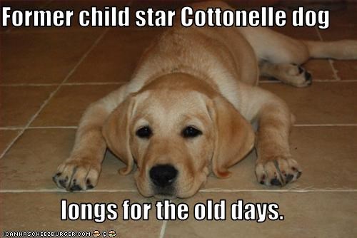 Former child star Cottonelle dog   longs for the old days.