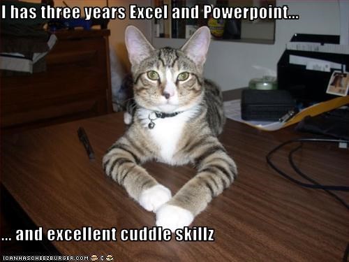 I has three years Excel and Powerpoint...  ... and excellent cuddle skillz