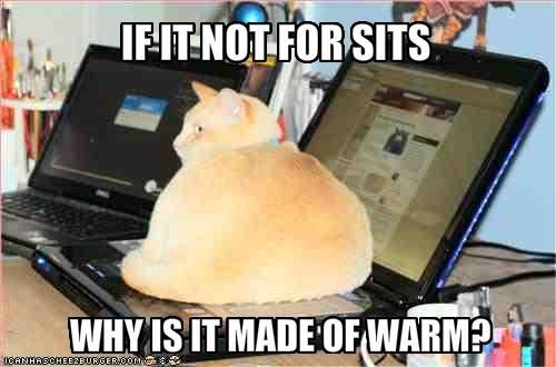 IF IT NOT FOR SITS