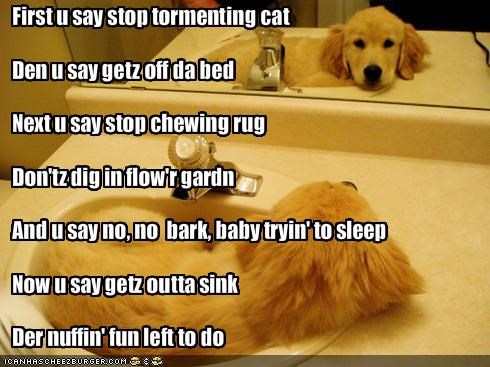 First u say stop tormenting catDen u say getz off da bedNext u say stop chewing rugDon'tz dig in flow'r gardnAnd u say no, no  bark, baby tryin' to sleepNow u say getz outta sinkDer nuffin' fun left to do