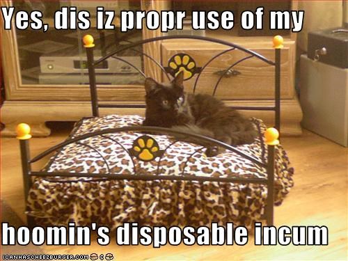 Yes, dis iz propr use of my  hoomin's disposable incum