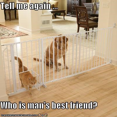 Tell me again ...  Who is man's best friend?