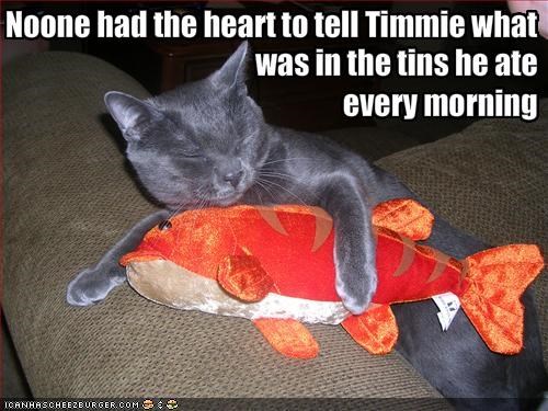Noone had the heart to tell Timmie what