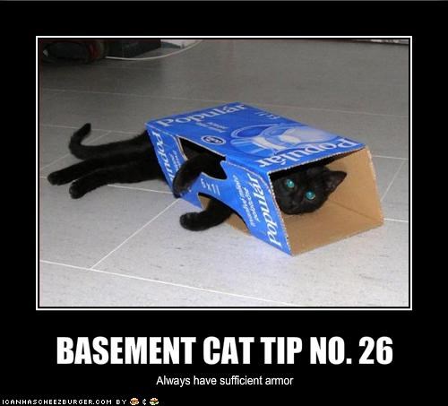 BASEMENT CAT TIP NO. 26
