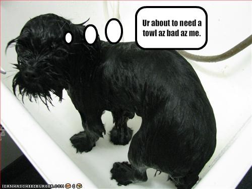 Ur about to need a towl az bad az me.