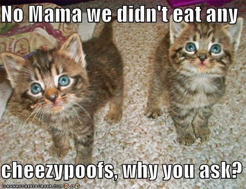 No Mama we didn't eat any   cheezypoofs, why you ask?