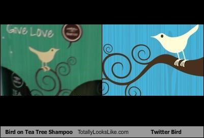 Bird on Tea Tree Shampoo Totally Looks Like Twitter Bird