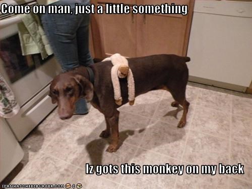 Come on man, just a little something  Iz gots this monkey on my back